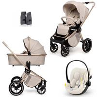 Beige/Seashell Beige Plus